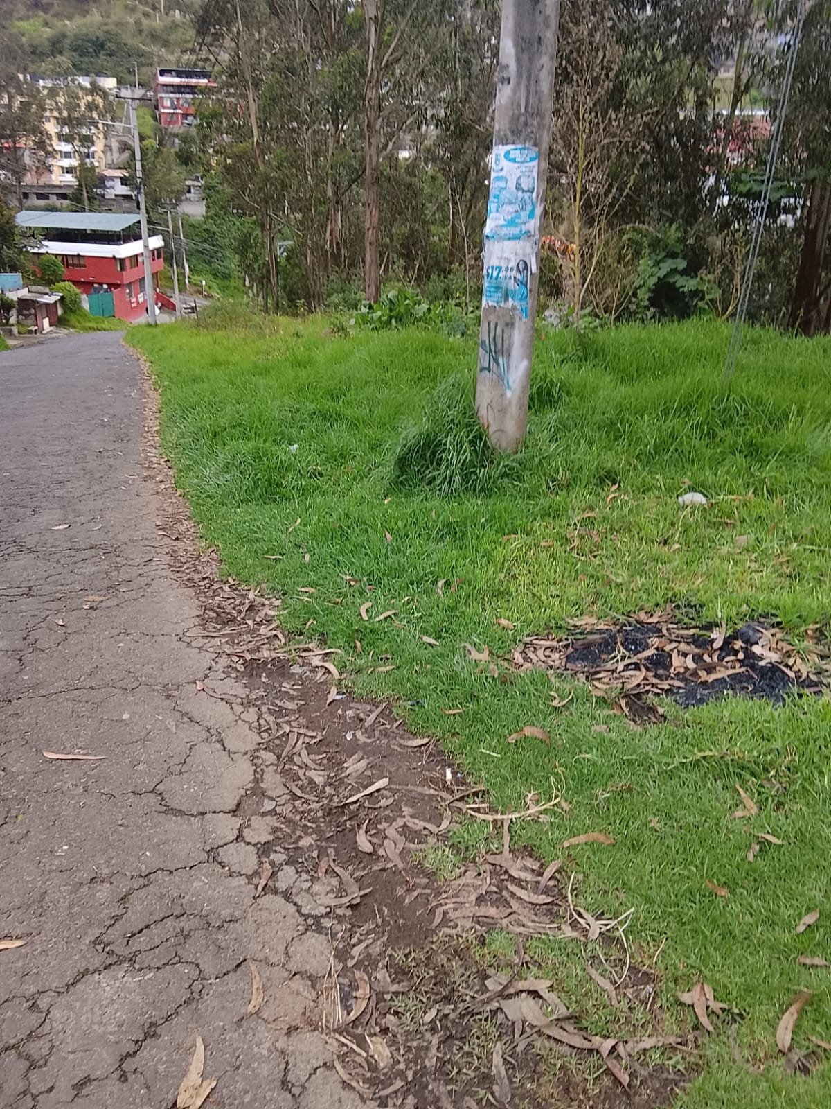 Imagen 3 de TERRENO DE VENTA